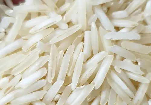 Steamed Basmati Rice